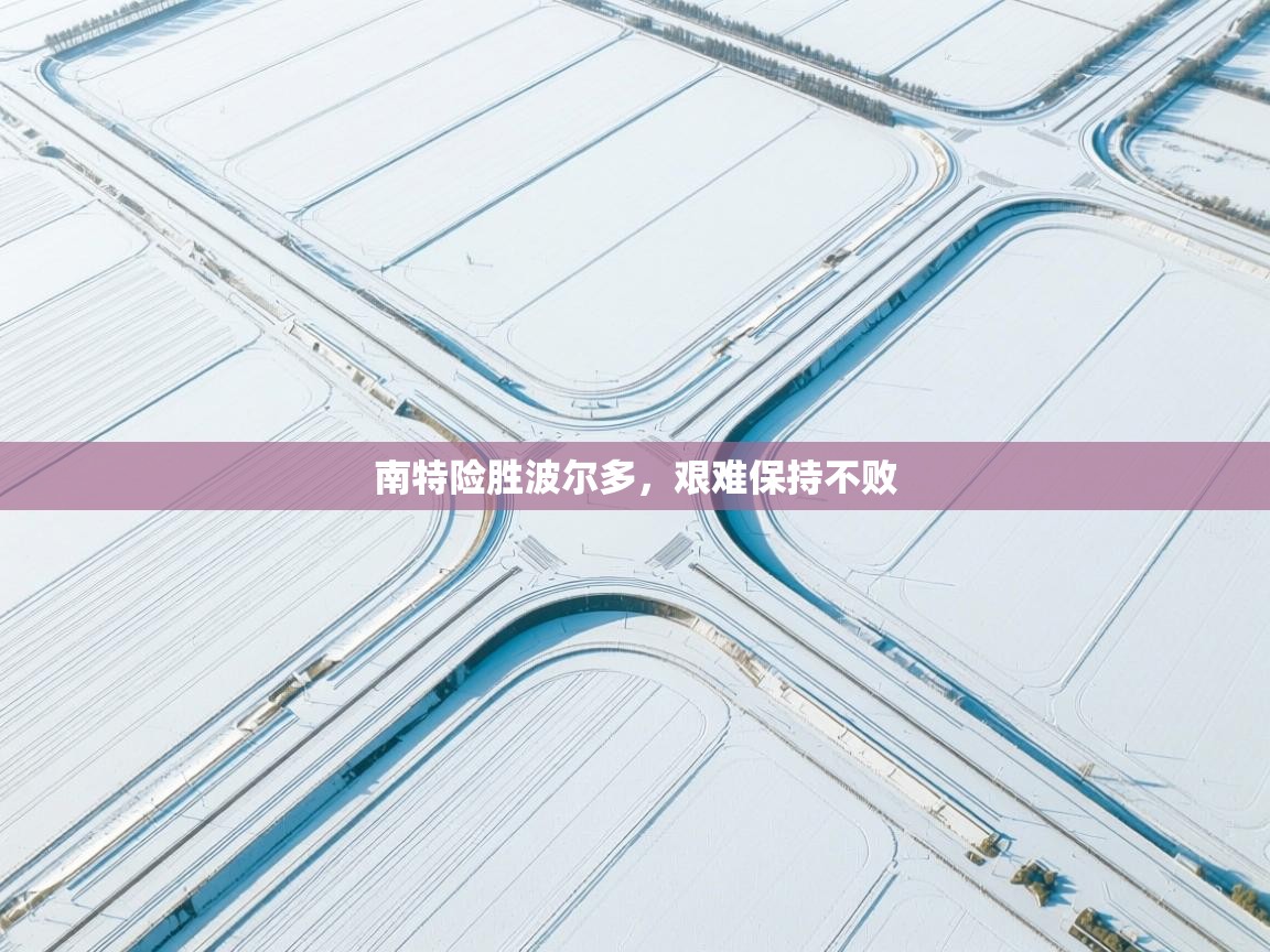 南特险胜波尔多,艰难保持不败 第1张