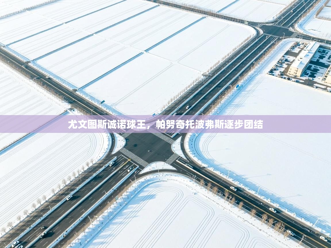 尤文图斯诚诺球王，帕努奇托波弗斯逐步团结  第1张